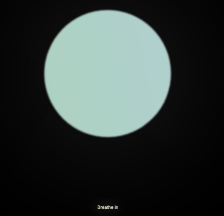 Flx's submission