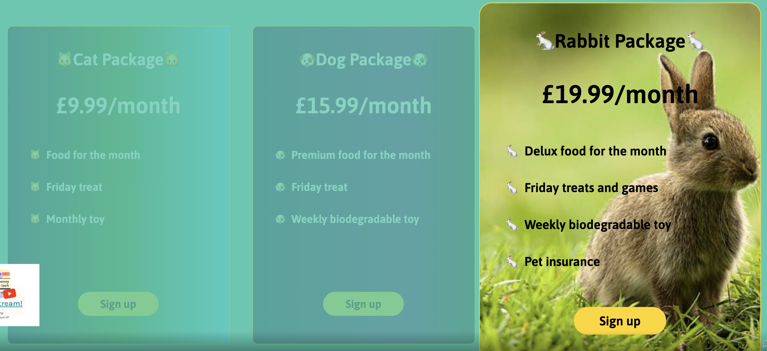 submission screenshot